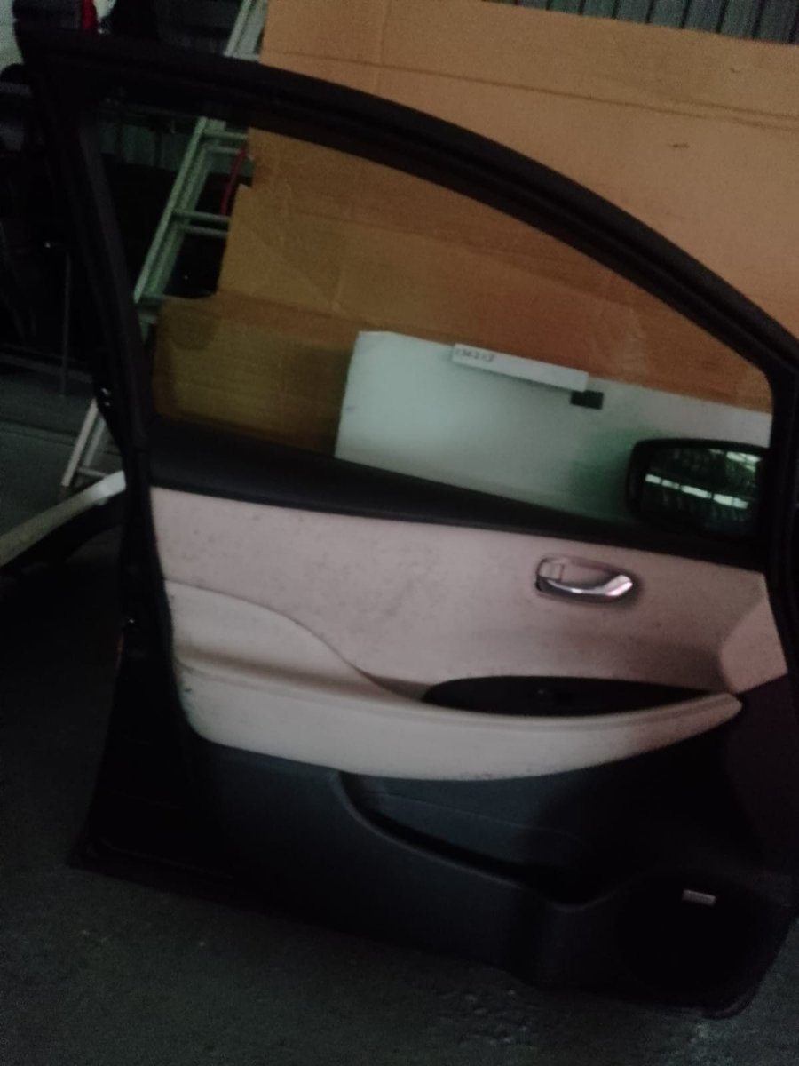 Nissan Leaf ZE1 Complet Front RHS Side Door with Side Mirror