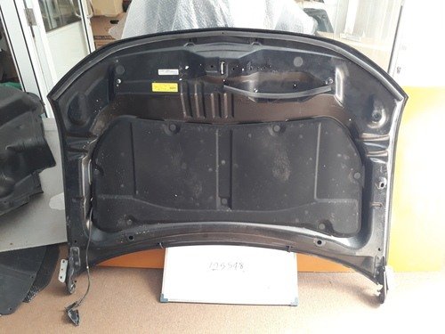 Mitsubishi Outlander PHEV Bonnet